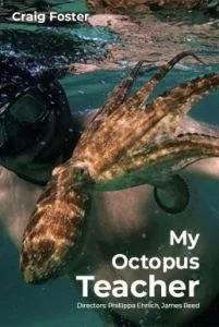 My Octopus Teacher (2020) บทเรียนจากปลาหมึก พากย์ไทย HD