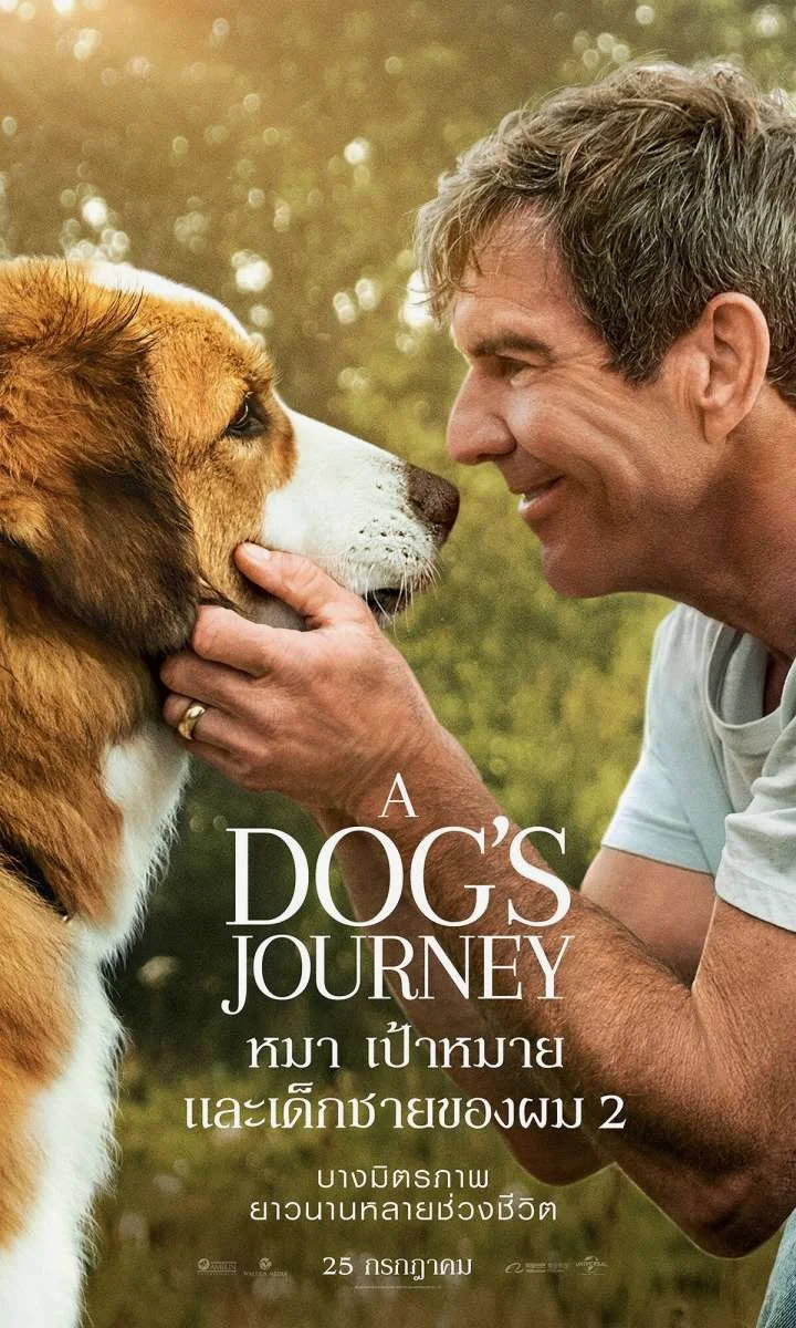 A Dog’s Journey (2019) หมา เป้าหมาย และเด็กชายของผม 2 หมาเพื่อนรัก พากย์ไทย