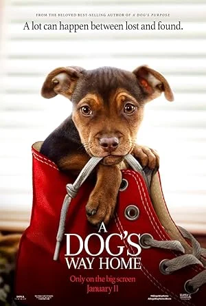 A Dogs Way Home (2019) ทางกลับบ้านของหมา พากย์ไทย HD