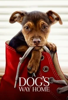 A Dog's Way Home เพื่อนรักผจญภัยสี่ร้อยไมล์ พากย์ไทย HD