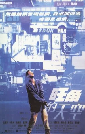 Man Wanted (1995) ฟัด ฟัด ฟัด ทะลุฟ้าโหด พากย์ไทย HD