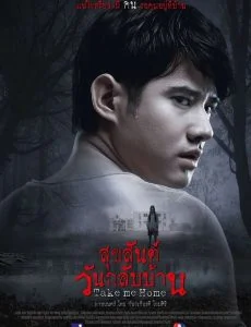 Take Me Home (2016) สุขสันต์วันกลับบ้าน พากย์ไทย HD