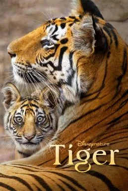 Tiger (2024) Disney+ บรรยายไทย ซับไทย HD
