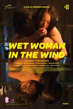 Wet Woman in The Wind (2016) ผู้หญิงเปียกในสายลม ซับไทย