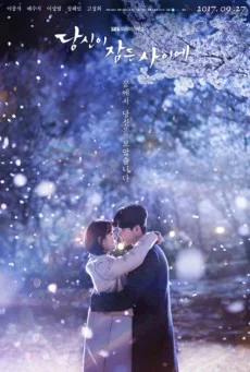 While You Were Sleeping (2017) ลิขิตฝันฉันและเธอ พากย์ไทย HD
