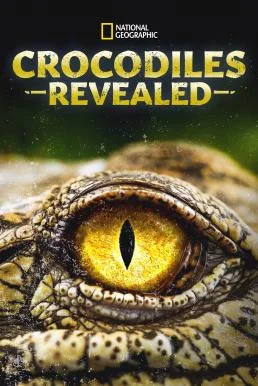 Crocodiles Revealed (2022) บรรยายไทย ซับไทย