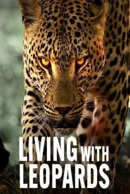 Living with Leopards อยู่กับเสือดาว (2024) NETFLIX บรรยายไทย ซับไทย HD