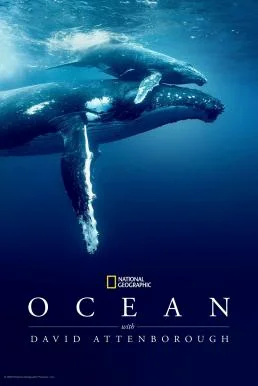 Ocean with David Attenborough (2025) บรรยายไทย ซับไทย HD