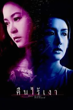 คืนไร้เงา One Night Husband (2003) พากย์ไทย หนังฟรี