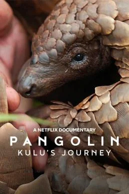 Pangolin: Kulu's Journey การเดินทางของคูลู (2025) NETFLIX บรรยายไทย ซับไทย หนัง 