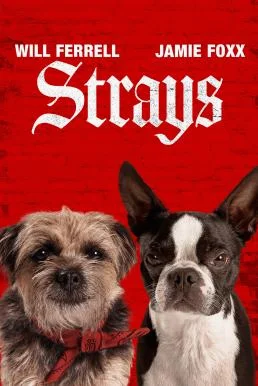 Strays ชีวิตหมาต้องไม่หมา พากย์ไทย HD