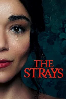 The Strays คนหลงทาง (2023) NETFLIX พากย์ไทย HD
