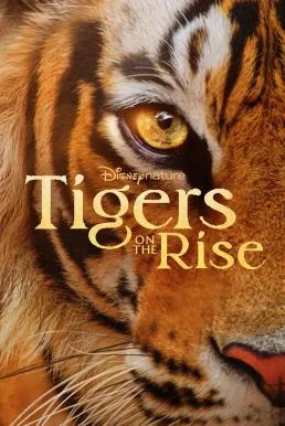 Tigers on the Rise (2024) Disney+ บรรยายไทย HD