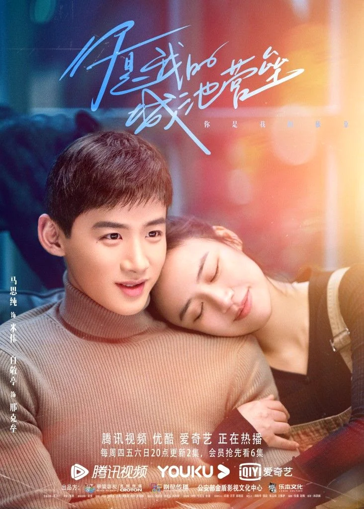 ซีรี่ย์จีน You Are My Hero (2021) คุณคือป้อมปราการของฉัน ซับไทย HD