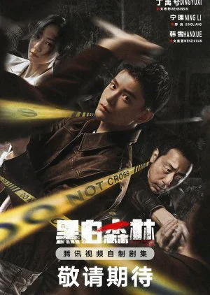 ซีรี่ย์จีน Black & White Forest ปมปริศนาป่าซ่อนเงื่อน 2024 ซับไทย HD