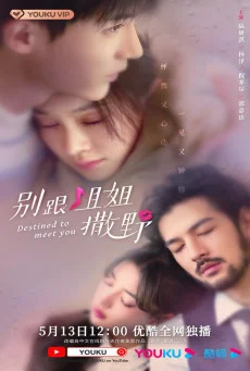 ซีรี่ย์จีน Destined to Meet You (2022) เดสทินี รักนี้พี่ขอ ซับไทย หนังฟรี