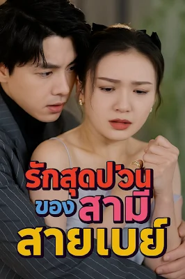 รักสุดป่วนของสามีสายเปย์ จบเรื่อง เสียงไทย พากย์ไทย